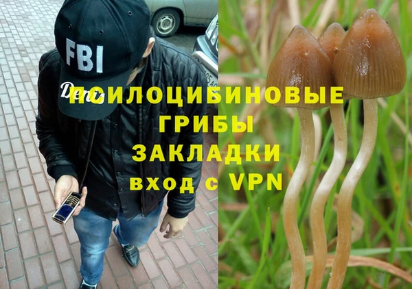 круглые Касимов