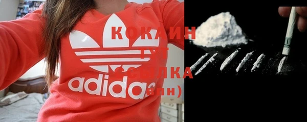 спайс Карпинск