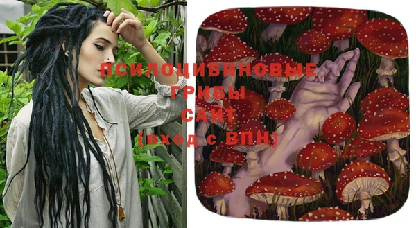 спайс Карпинск